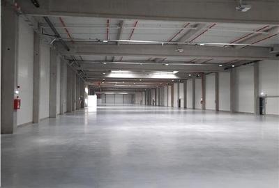 Spațiu industrial, de 900 mp, în Jucu - 9