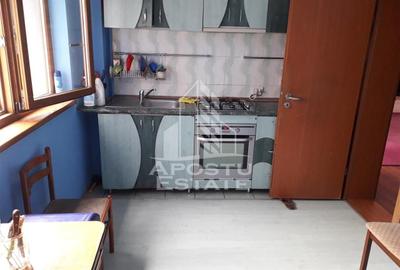 Casă individuală cu 8 camere cu Canalizare în Lugojului - 9