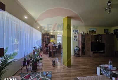 Casă cu 8 camere cu Teren 4534 Mp în Central - 16