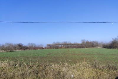 Teren Construcții intravilan de 1500 mp, în Grădiștea - 2