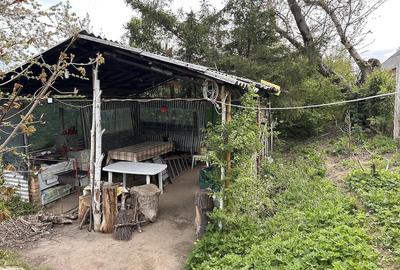 Teren de 1000 mp, în Râu Sadului - 4