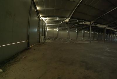Spațiu industrial, de 11,600 mp, în Plopșoru - 13