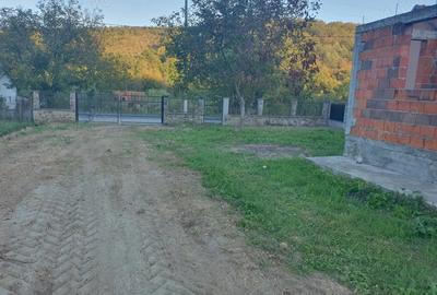 Casă cu 2 camere cu Teren 1142 Mp în Milova - 9