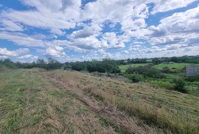 Teren de 12500 mp, în Gura Foii