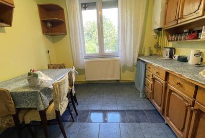 Apartament cu 2 camere decomandat, mobilat în Șagului - 15
