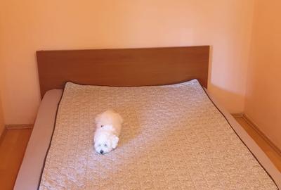 Apartament cu 2 camere semidecomandat în Spitalul Județean - 5