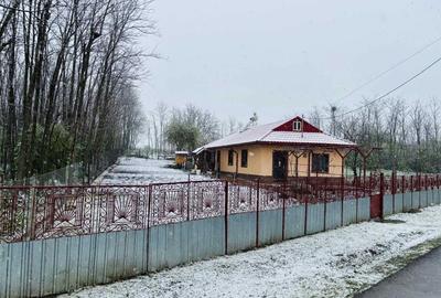 Casă cu 3 camere decomandat în Frăsinet - 8