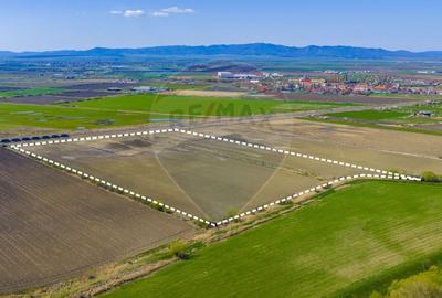 Teren agricol extravilan de 92000 mp, în Bod - 4