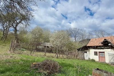 Teren de 2671 mp, în Plai - 4