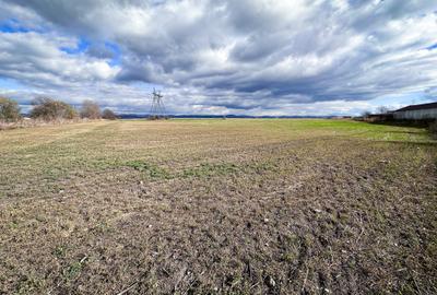 Teren agricol intravilan de 5000 mp, în Hălchiu - 10