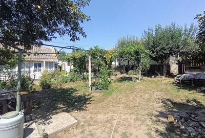 Casă cu 3 camere cu Teren 3116 Mp în Valea lui Darie