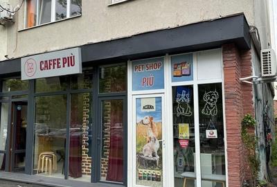 Spațiu comercial, de 16.5 mp, în Theodor Pallady