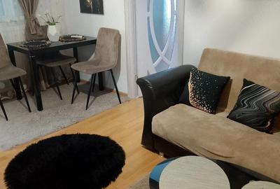 Apartament cu 2 camere semidecomandat în Tineretului - 8