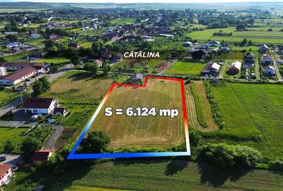 Teren Construcții intravilan de 6200 mp, în Coltău - 2