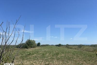 Teren de 62000 mp, în Viile Satu Mare