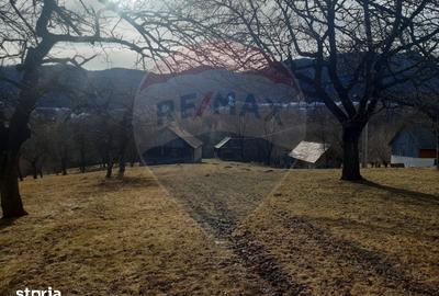 Teren de 10279 mp, în Bran