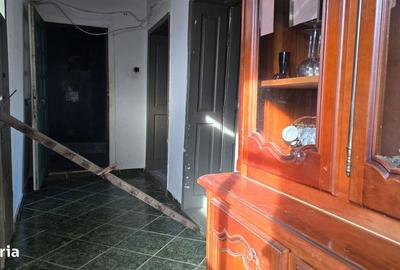 Casă cu 2 camere cu Teren 1585 Mp în Brănișca - 9