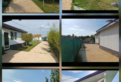 Casă cu Teren 1016 Mp în Petrovaselo - 1
