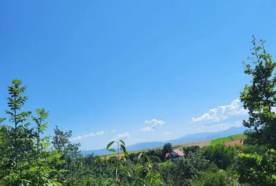 Teren de 1500 mp, în Ilieni