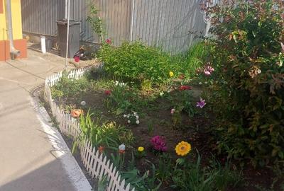 Casă cu 4 camere în Glina - 3