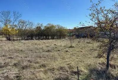 Teren de 680 mp, în Dragșina - 2