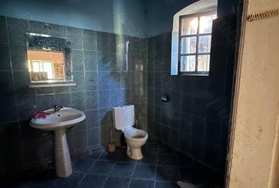 Casă cu 4 camere cu Teren 766 Mp în Geoagiu