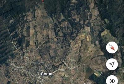 Spațiu comercial, în Goruni