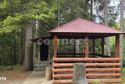 Casă cu 3 camere în Dealu Negru - 1