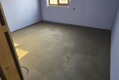 Casă cu 2 camere în Santăul Mare - 3