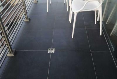 Apartament cu 2 camere în Griviței