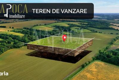 Teren de 900 mp, în Borhanci - 1