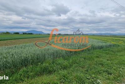 Teren de 11800 mp, în Stupini - 2