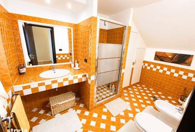 Casă cu 9 camere cu Teren 600 Mp în Sânmartin - 18