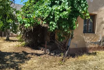 Casă cu 3 camere în Chesinț - 7