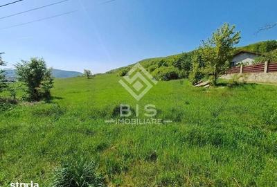 Teren de 5000 mp, în Central