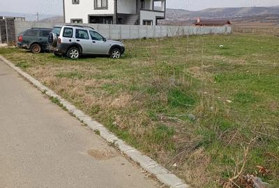 Teren de 3000 mp, în Schela - 4