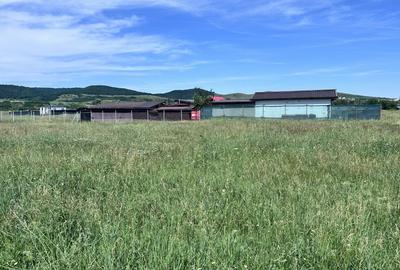 Teren Construcții intravilan de 449 mp, în Micești - 2