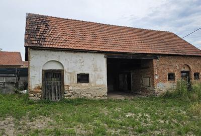 Casă cu 3 camere în Sălașu de Sus - 7
