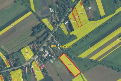Teren agricol intravilan de 3300 mp, în Merii Petchii - 7