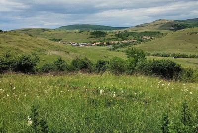 Teren de 2200 mp, în Rădaia - 4