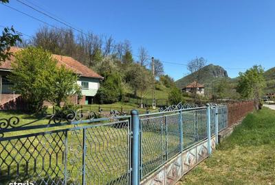 Casă cu 4 camere în Hărțăgani
