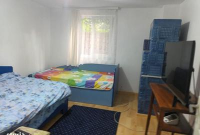 Casă cu 4 camere în Baisa - 10