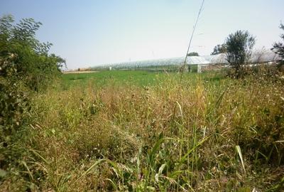 Teren de 4800 mp, în Vidra