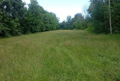 Teren Construcții intravilan de 1773 mp, în Urleta - 2