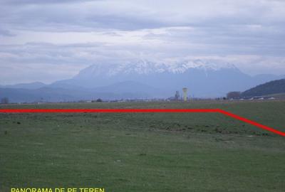 Teren agricol extravilan de 27900 mp, în Periferie - 7