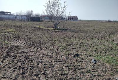 Teren de 5000 mp, în Frumușani - 11
