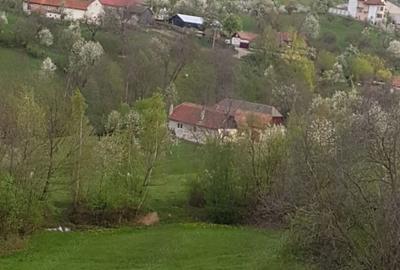 Teren în Sohodol - 2