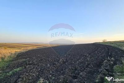 Teren de 30077 mp, în Stroiești - 15