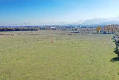 Teren Construcții intravilan de 55700 mp, în Stupini - 7