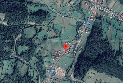 Teren Construcții intravilan de 33300 mp, în Tulgheș - 1